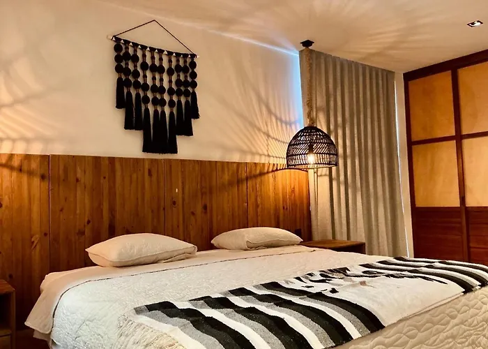 Luxury 3br Penthouse Jungle Views & Jacuzzi *